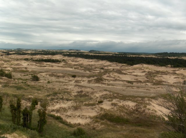 aneasterlyviewoverthedunes.jpg